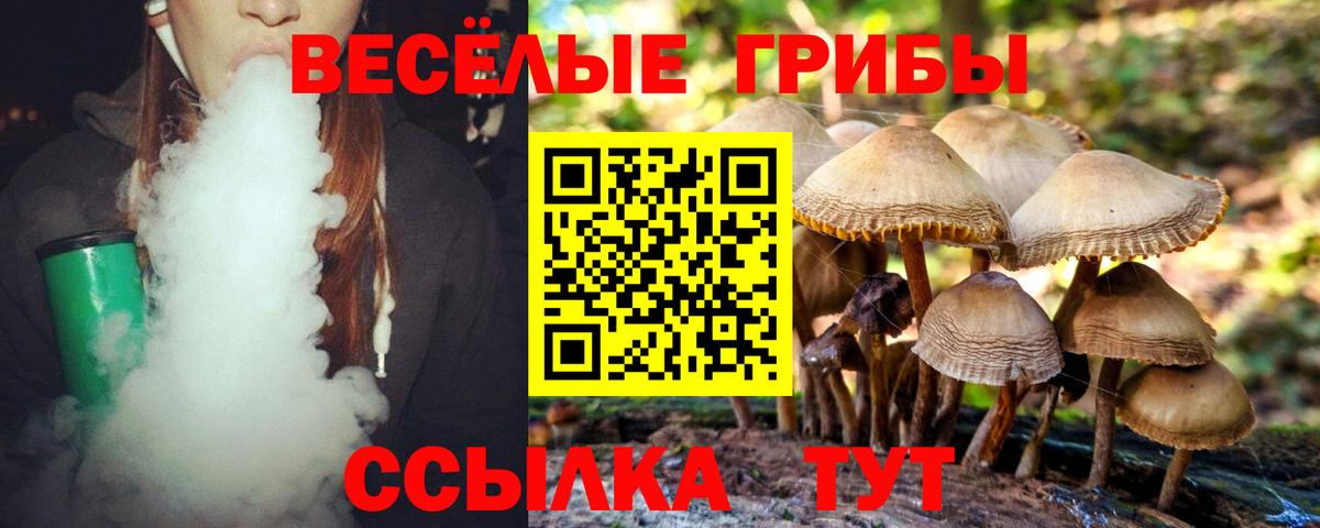 Галлюциногенные грибы GOLDEN TEACHER  Вход с VPN  Ногинск 