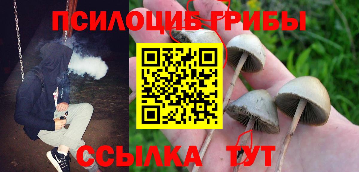 Псилоцибиновые грибы прущие грибы Ногинск