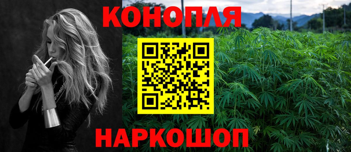 Ногинск  Шишки марихуана конопля  Канабис OG Kush  Бошки марихуана план  Вход с VPN 